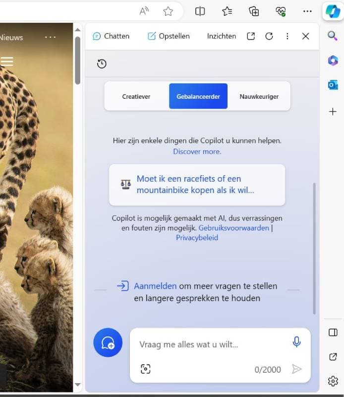 Screenshot 2_Copilot(1)